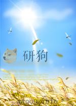 冶金文摘  第11期  总第20期（1958 PDF版）