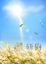 冶金文摘 第1期 总第10期 1958 PDF电子版封面