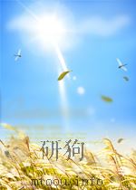 冶金文摘 第一分册 稀有金属 第11期 总第35期 1965 PDF电子版封面