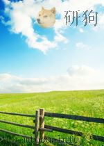 化学文摘 第二分册 无机物工艺 第6期 1965 PDF电子版封面