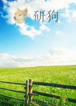 化学文摘 第二分册 无机物工艺 第10期 1965 PDF电子版封面