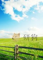 钢铁  第20期（1956 PDF版）