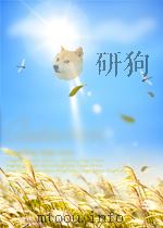 无线电与电视  第10期  创刊号   1958  PDF电子版封面  10001417   