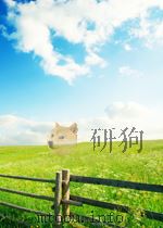 冶金文摘  第五分册  焦化、耐火材料  第4期  总第4期（1964 PDF版）