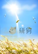 有色金属  第5期  总第85期   1960  PDF电子版封面     