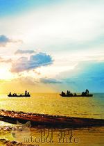 有色金属  第3期  总第47期   1958  PDF电子版封面     