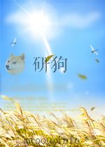 中国纺织 第10期 总第278期 1964 PDF电子版封面 05296013