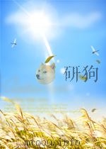 人民音乐　评论  第7-8期  总第88-89期   1960  PDF电子版封面  04476573   