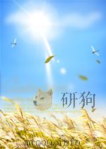 前线 第17期 总第140期 1964 PDF电子版封面 10073078
