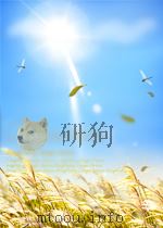 标准化译丛  第5期  总第5期   1964  PDF电子版封面     
