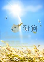 医学文摘 第一分册 第6卷 第2期 总第54期 1963 PDF电子版封面