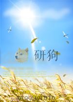 医药卫生快报  第13期   1960  PDF电子版封面     