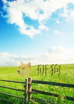 化学工业  第22期  总第148期   1963  PDF电子版封面     