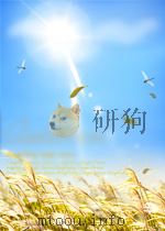 有机化学工业快报  第12期（1964 PDF版）