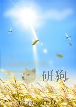 经济研究  第12期（1958 PDF版）