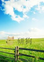 经济研究  第5期  总第46期   1960  PDF电子版封面  05779154   