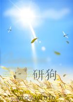 经济学动态 第12期 总第84期 1964 PDF电子版封面