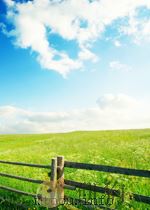 江西日报索引  第7期   1959  PDF电子版封面     