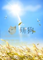 新湖南报索引 第2期 1957 PDF电子版封面