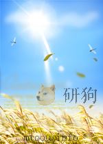 新朝鲜  第9期  总第179期   1963  PDF电子版封面     