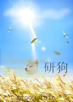 中国青年 第42期 1950 PDF电子版封面