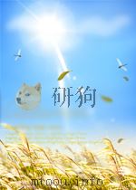 中国工业 第5期 1955 PDF电子版封面