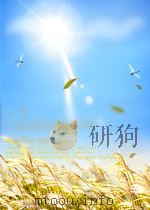 翻译通报 第7期 总第23期 1952 PDF电子版封面