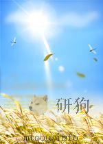 中央合作通讯  第11期  总第69期（1956 PDF版）
