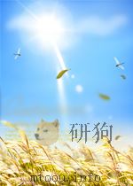 北洋周刊 1934年第20期 PDF电子版封面