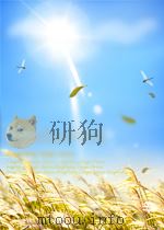 北洋周刊 1934年第31期 PDF电子版封面
