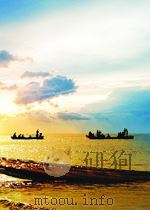 北洋周刊 1935年第61期 PDF电子版封面