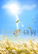 中国养蜂杂志  第9卷  第12期  总第98期   1951  PDF电子版封面     
