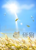机床与工具 第21期 总第28期 1954 PDF电子版封面
