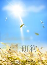 机床与工具  第5期  总第96期   1958  PDF电子版封面     