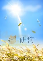 煤炭工业 第14期 1957 PDF电子版封面