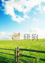 测绘译丛  第11期  总第71期（1965 PDF版）