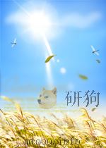 教育通讯  中学版化学  第29期  总第346期（1960 PDF版）