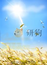 歌曲 第8期 总第23期 1955 PDF电子版封面 04540186