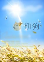 福建画报 第10期 总第28期 1960 PDF电子版封面 10003592
