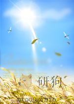 新体育  第18期  总第135期（1958 PDF版）
