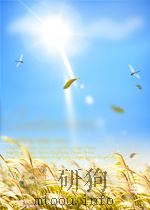 解放军画报  第45期   1954  PDF电子版封面  00092823   