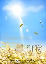 团结报 第215期 1951 PDF电子版封面