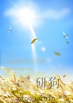 斗争  第204期（1953 PDF版）