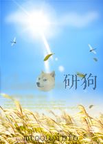 斗争  第209期   1953  PDF电子版封面     