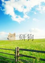 济南铁路管理局局报  第2卷  第143期（1950 PDF版）