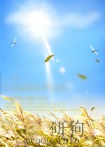 木材销售通讯  第15期   1954  PDF电子版封面     