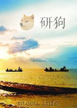木材销售通讯  第17期   1954  PDF电子版封面     