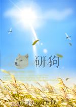 期刊论文索引  固体物理、低温物理、磁学  第2期（1962 PDF版）
