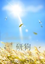 期刊论文索引 测量及制图 第12期 总第21期 1960 PDF电子版封面
