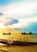 期刊论文索引  自动控制、无线电电子学及有线通讯  第11期  总第19期   1960  PDF电子版封面     